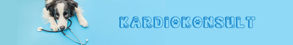 Main banner logo