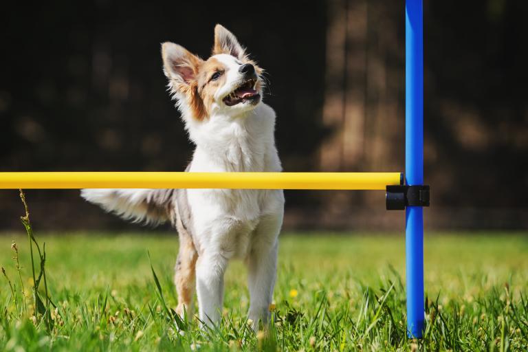 Sport und Bewegung