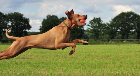 Sport und Bewegung